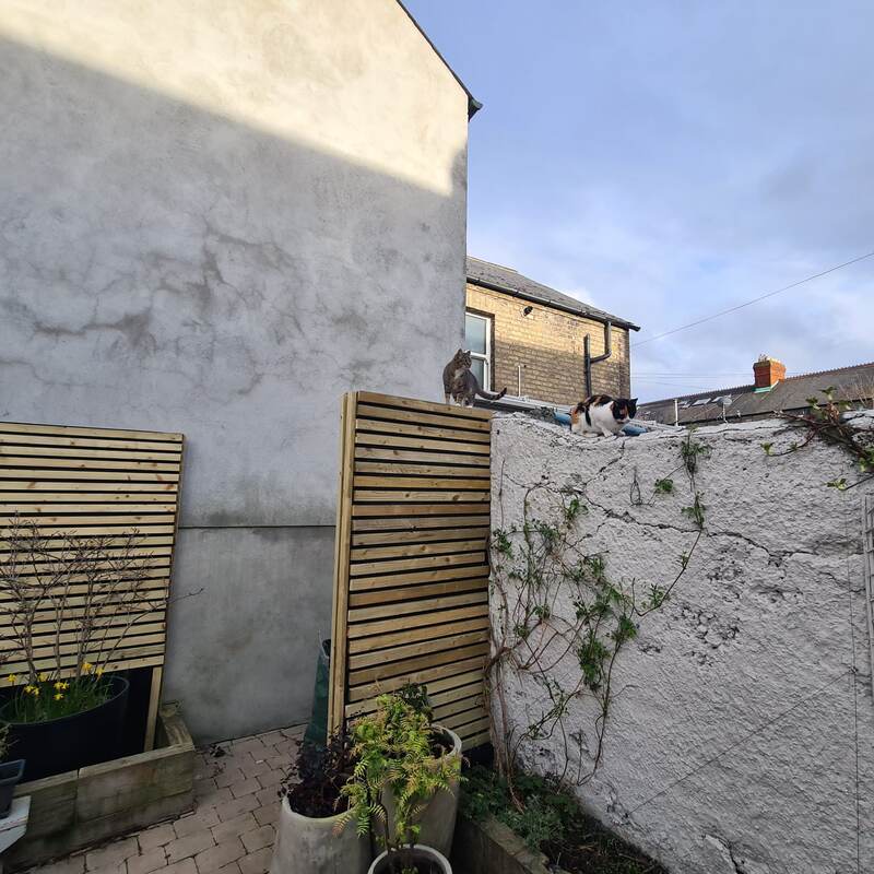 Finished courtyard with matching slatted timber screens