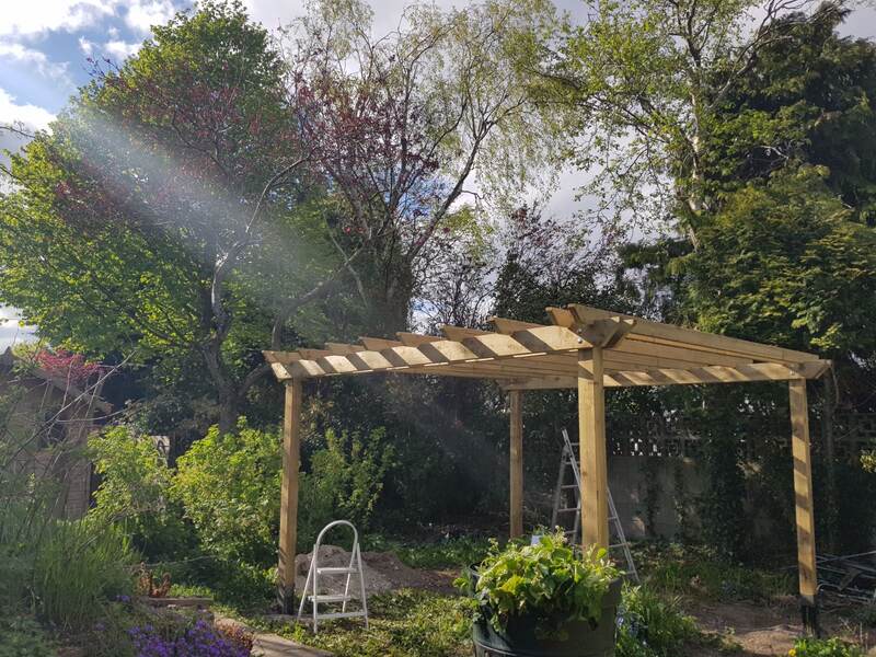 Pergola frame nearly complete with rafters in place