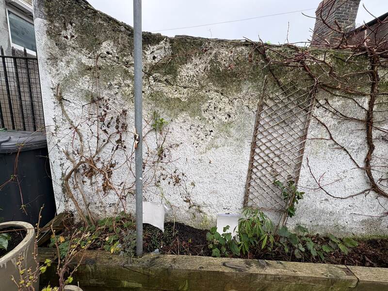 Bare weathered wall with dead climbing vines before planting
